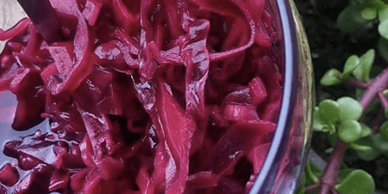 Pickled red cabbage